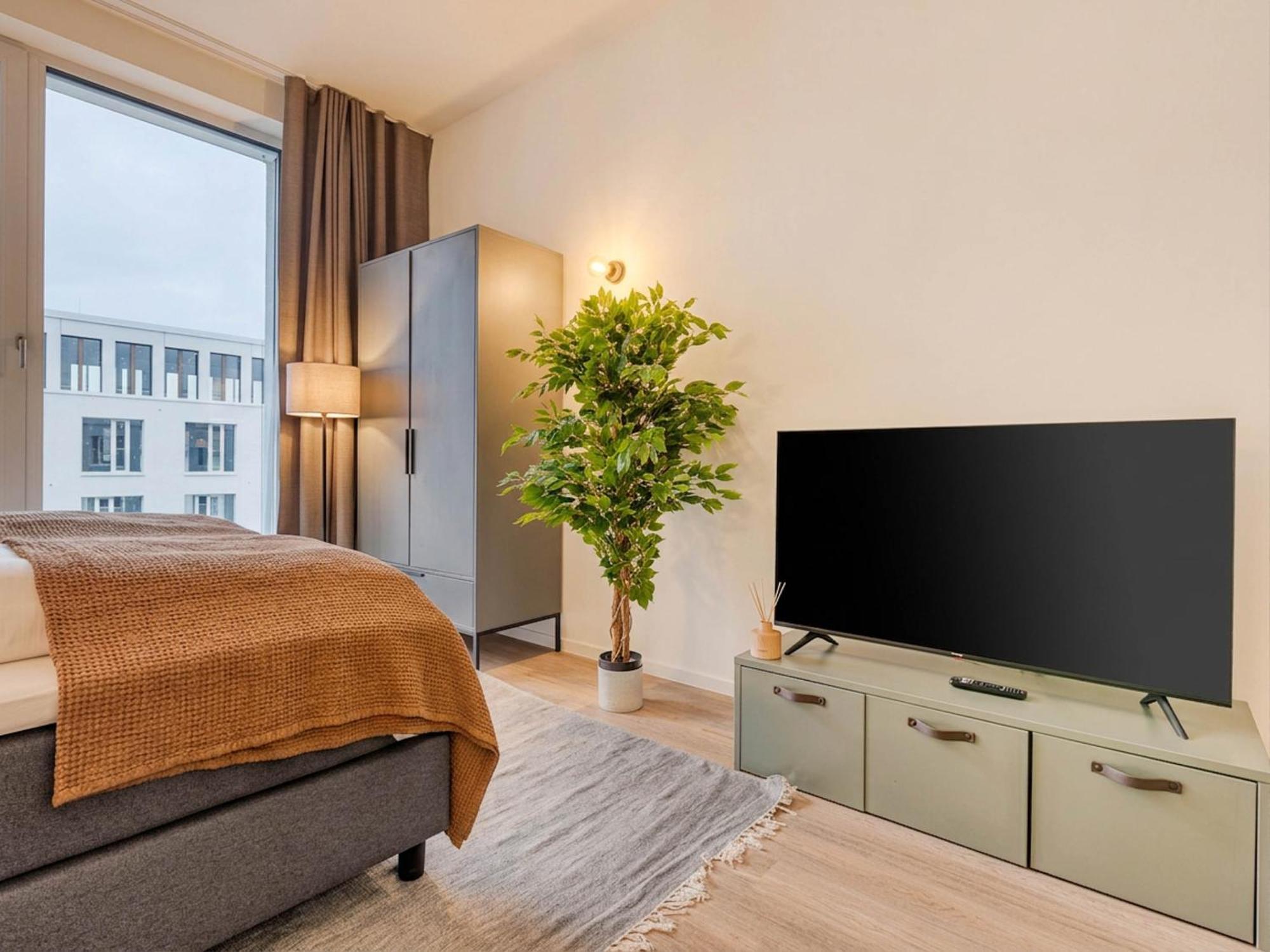 Comfort Suite Sofa Bed